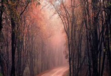 海星体育：勇士111-95鹈鹕！库里赛后把话挑明，而巴特勒一大变化也成关键.