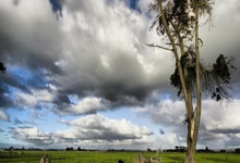 海星体育：男子河中钓鱼，没想到钓了一条河鳗！.