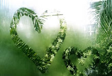 海星体育：张本美和印度夺冠！老爸台下激动相拥，兄妹“饮食难题”引遐想.