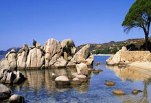 海星体育:“10后”小孩哥,冠军,冠军,又是冠军!央视新闻微信公众号.